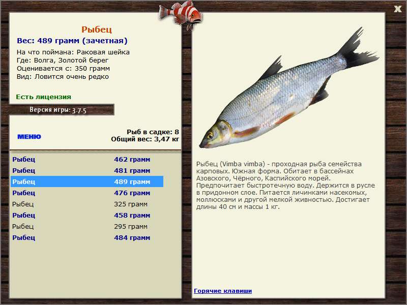 Золотой берег 