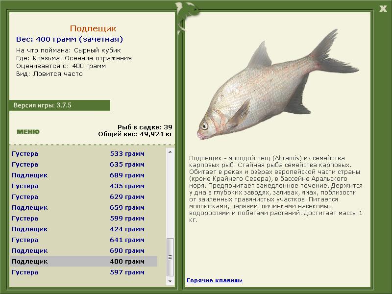 турниры • РУССКАЯ РЫБАЛКА