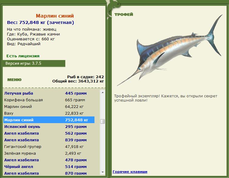 Марлин синий 