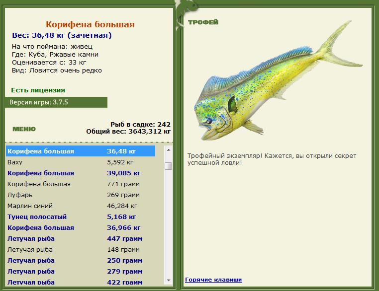 Корифена большая 