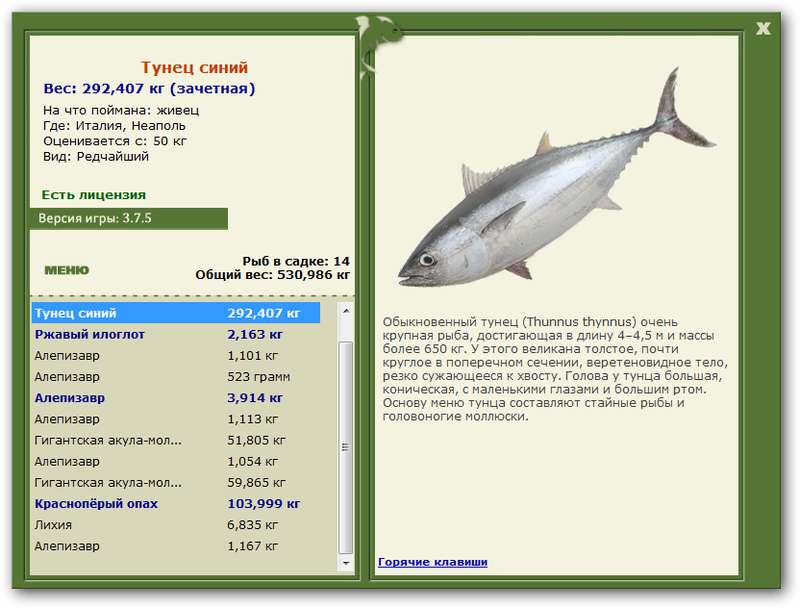 РУССКАЯ РЫБАЛКА Installsoft Edition 