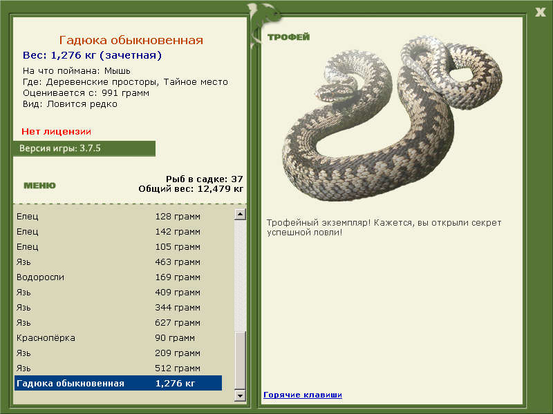 Гадюка обыкновенная