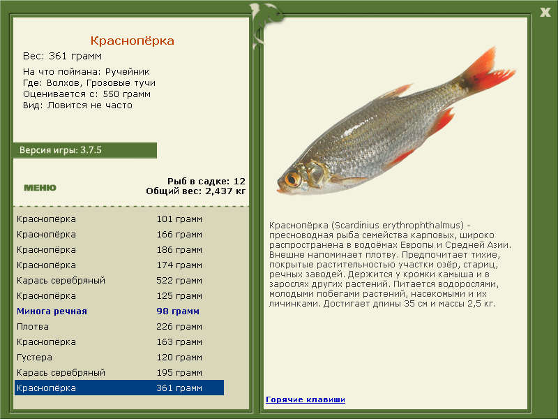 Грозовые тучи 