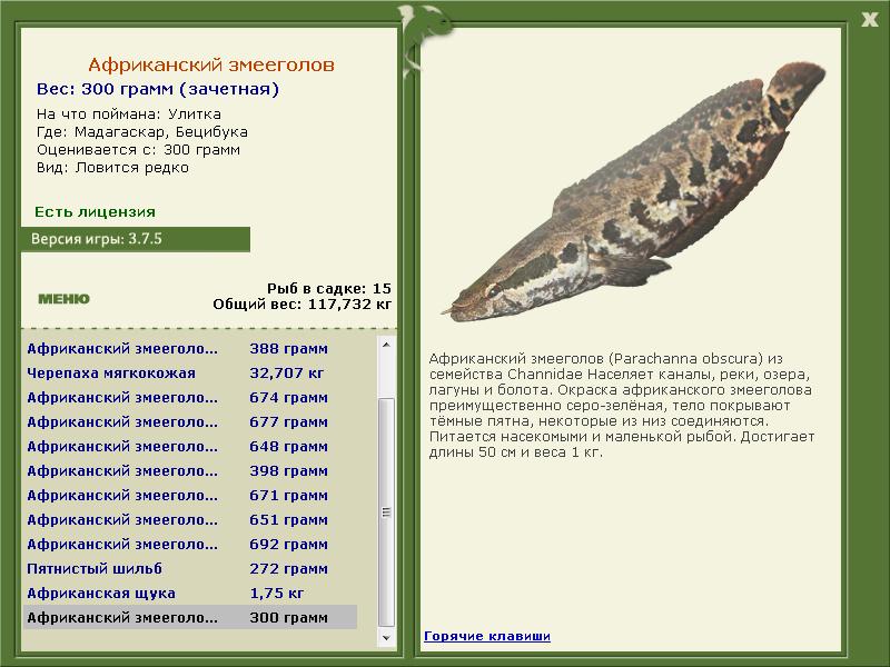 турниры • РУССКАЯ РЫБАЛКА