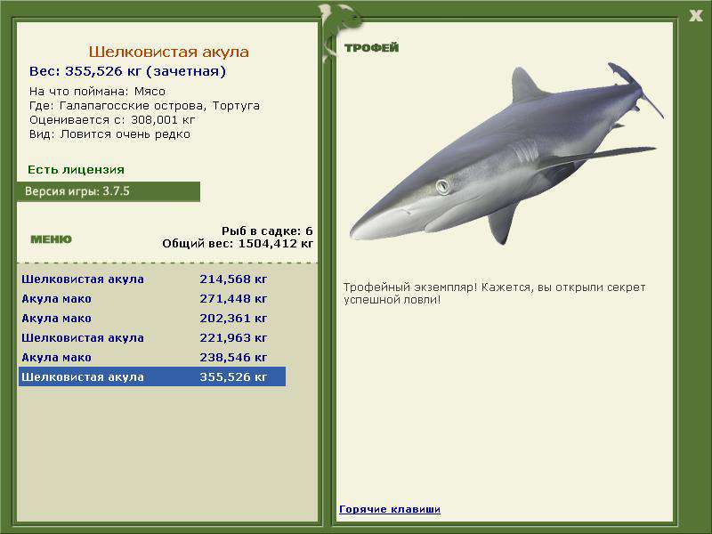 Шелковистая акула 