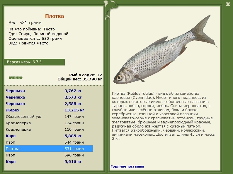 Свирь 