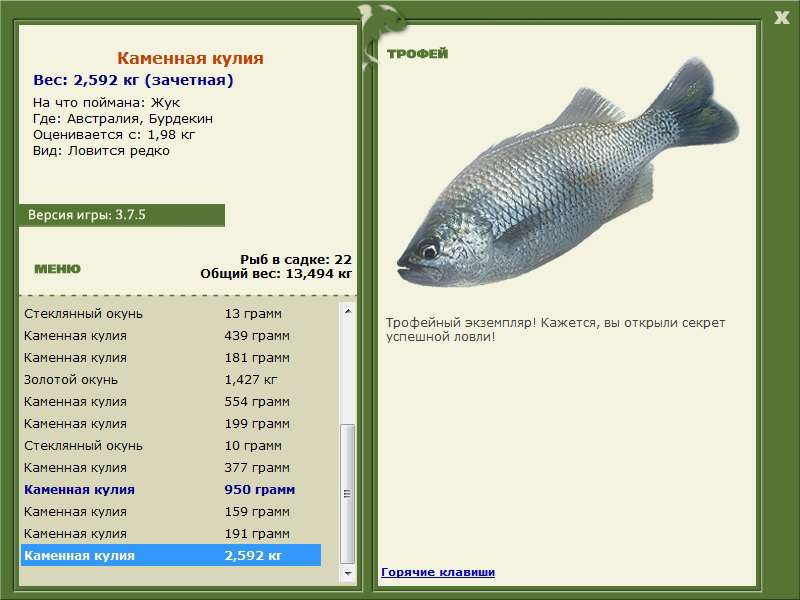 Каменная кулия 