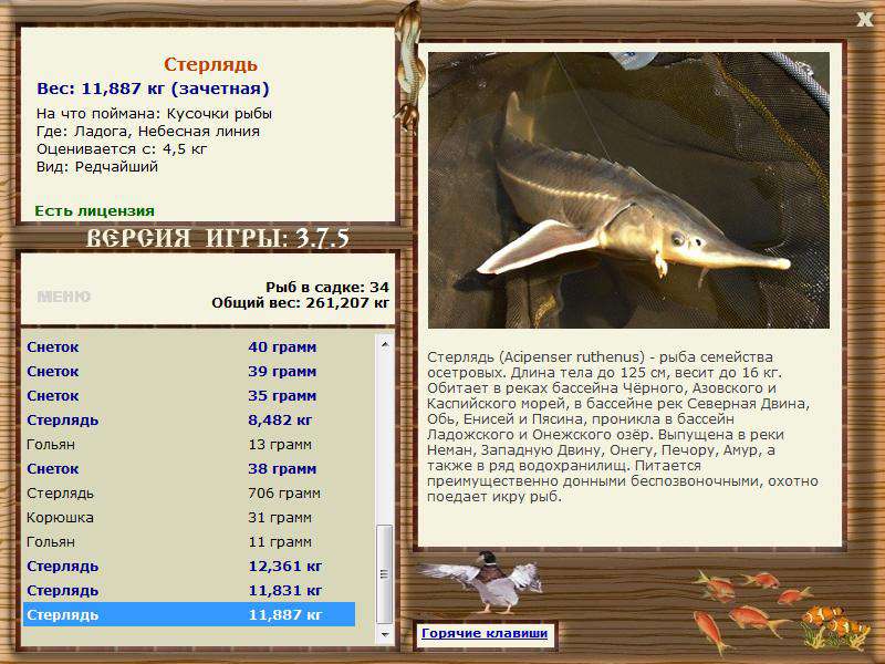 РУССКАЯ РЫБАЛКА Installsoft Edition 