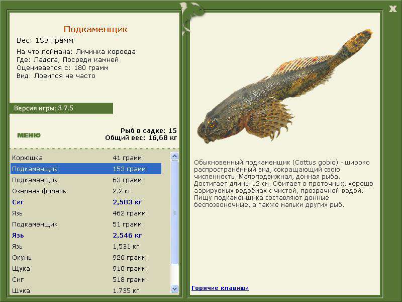 Ладога 