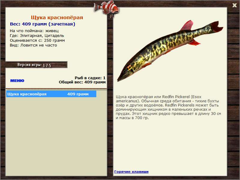 Цитадель 