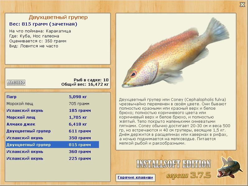 Нос галеона 