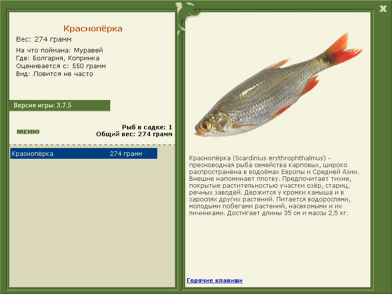 Копринка 