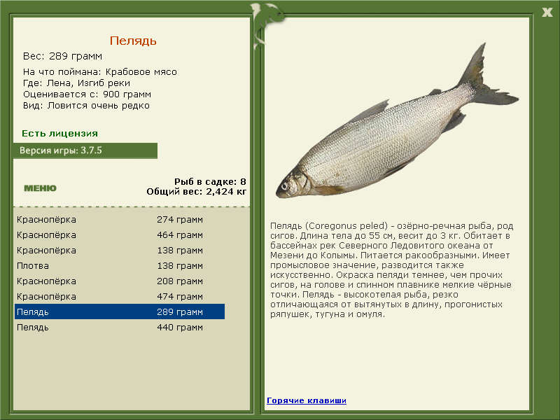 турниры • РУССКАЯ РЫБАЛКА