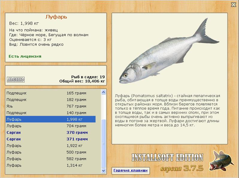 Бегущая по волнам 