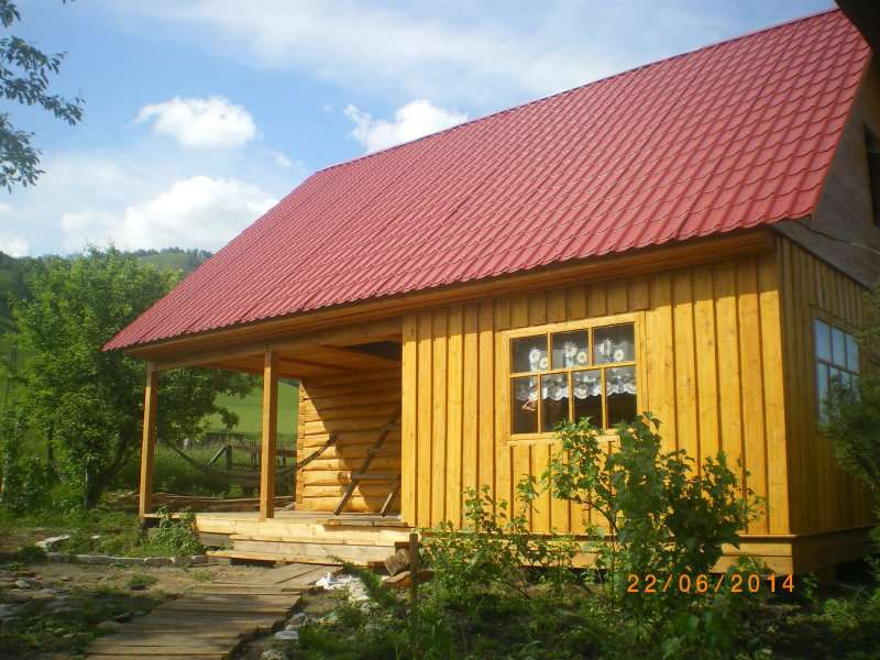 ФОРУМ ЛЮБИТЕЛЕЙ КОЛЛИ И ШЕЛТИ 
