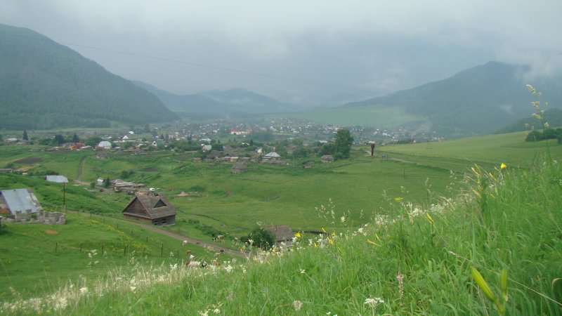 ФОРУМ ЛЮБИТЕЛЕЙ КОЛЛИ И ШЕЛТИ 