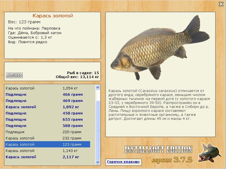 Бобровый затон 