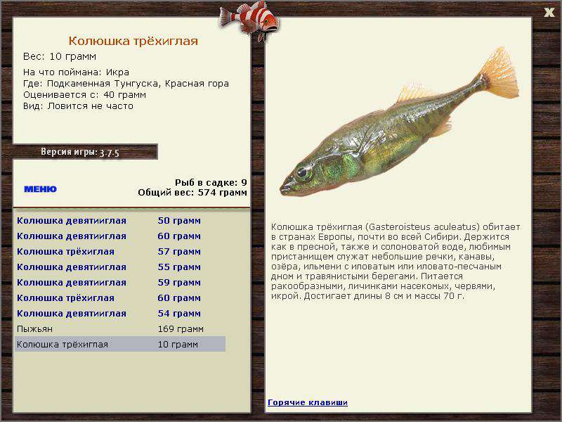 РУССКАЯ РЫБАЛКА Installsoft Edition 