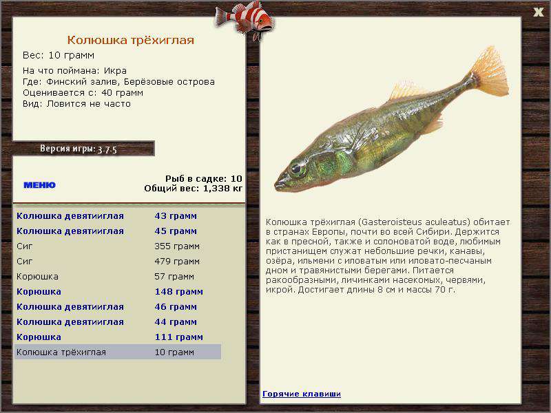 РУССКАЯ РЫБАЛКА Installsoft Edition 