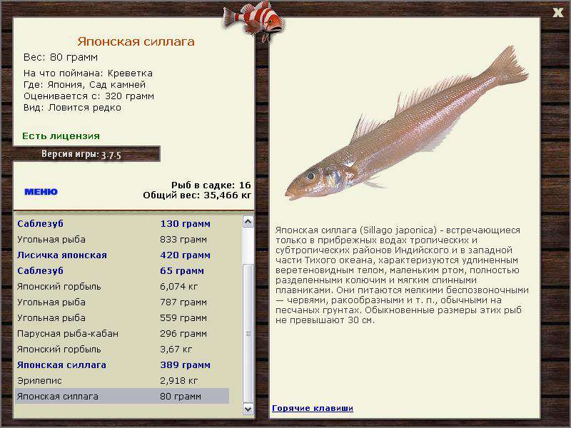 РУССКАЯ РЫБАЛКА Installsoft Edition 