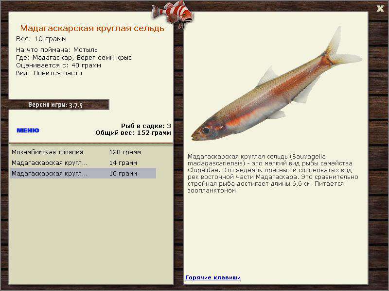РУССКАЯ РЫБАЛКА Installsoft Edition 