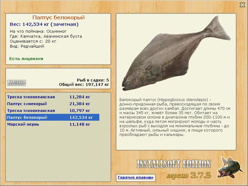 Авачинская бухта 