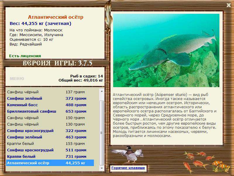 РУССКАЯ РЫБАЛКА Installsoft Edition 