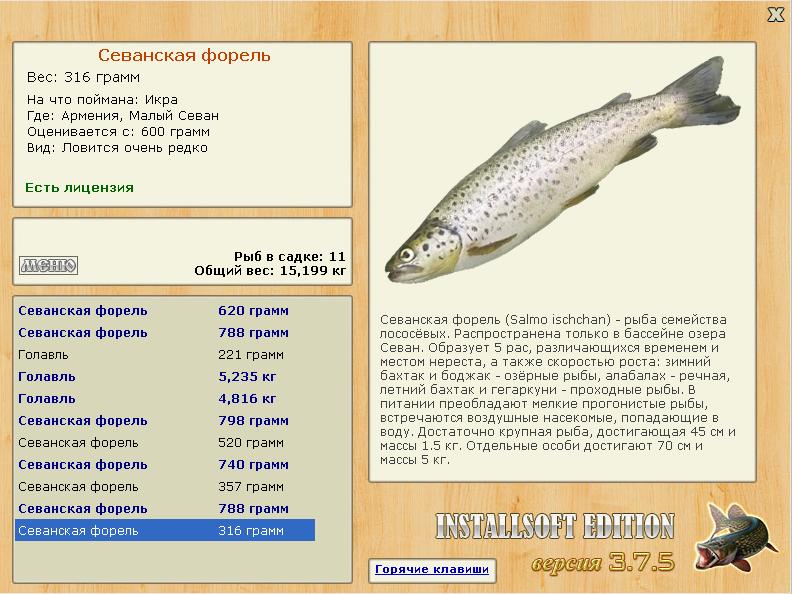 Малый Севан 