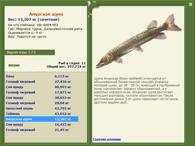 Мировое турне 