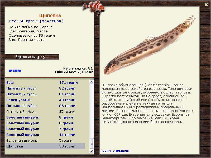 РУССКАЯ РЫБАЛКА Installsoft Edition 