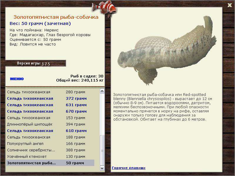 РУССКАЯ РЫБАЛКА Installsoft Edition 