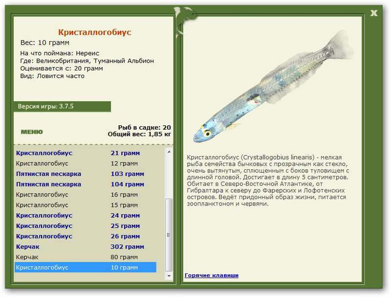 турниры • РУССКАЯ РЫБАЛКА