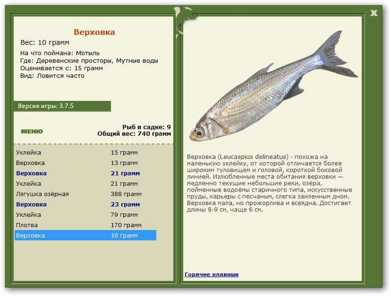 турниры • РУССКАЯ РЫБАЛКА