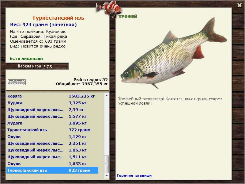 Туркестанский язь 