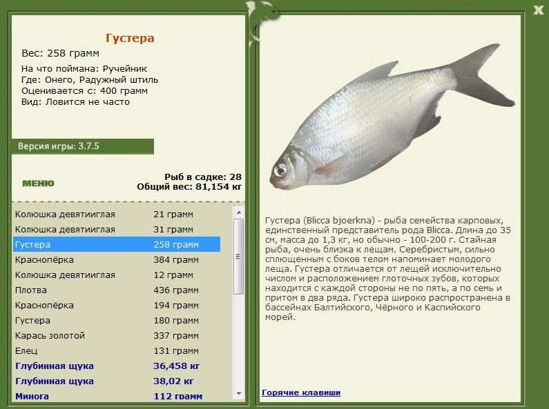 РУССКАЯ РЫБАЛКА Installsoft Edition 