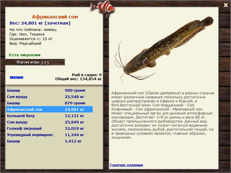 Тишина 