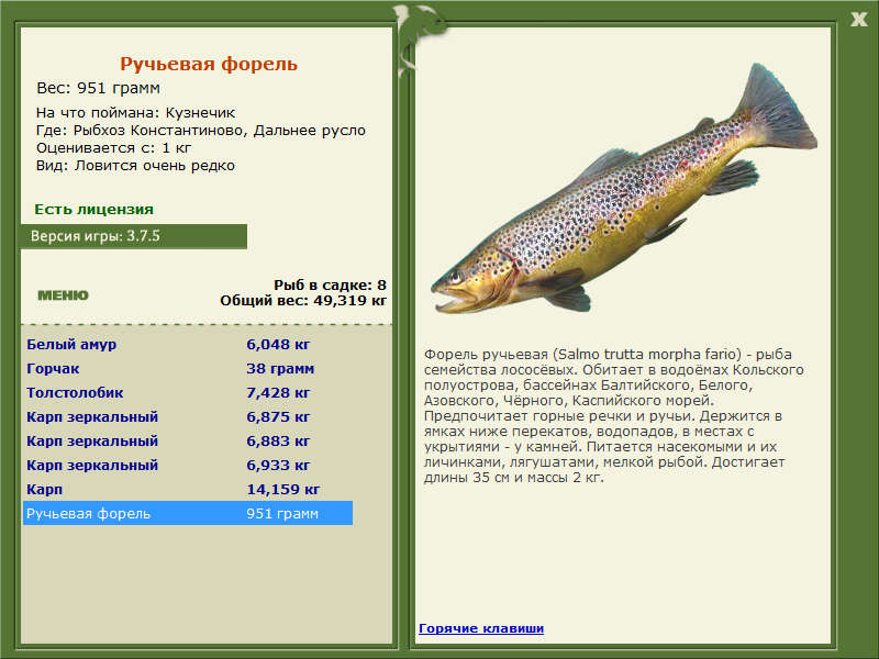 Рыбхоз Константиново 