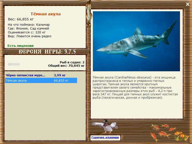 РУССКАЯ РЫБАЛКА Installsoft Edition 