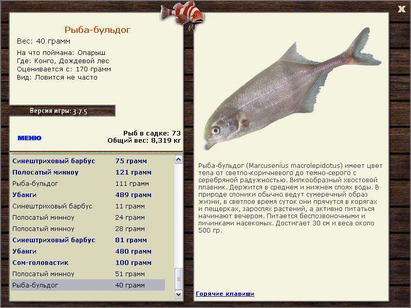 РУССКАЯ РЫБАЛКА Installsoft Edition 
