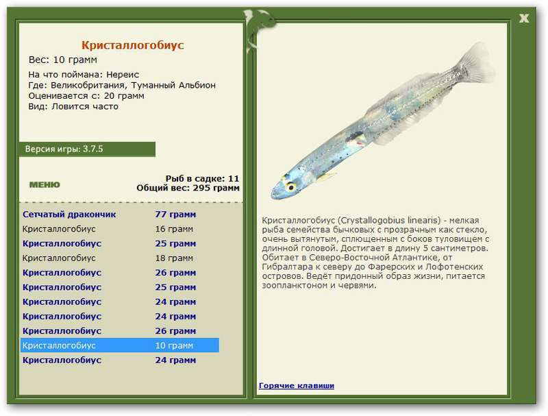 турниры • РУССКАЯ РЫБАЛКА