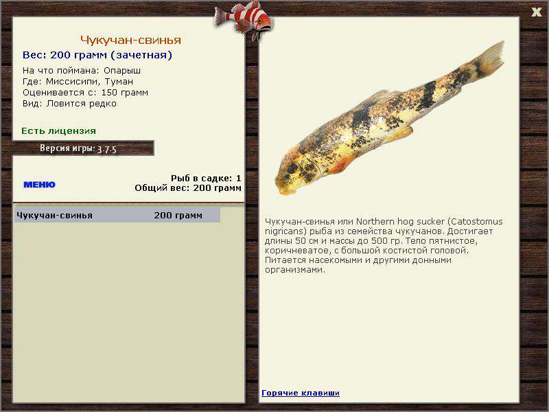 РУССКАЯ РЫБАЛКА Installsoft Edition 