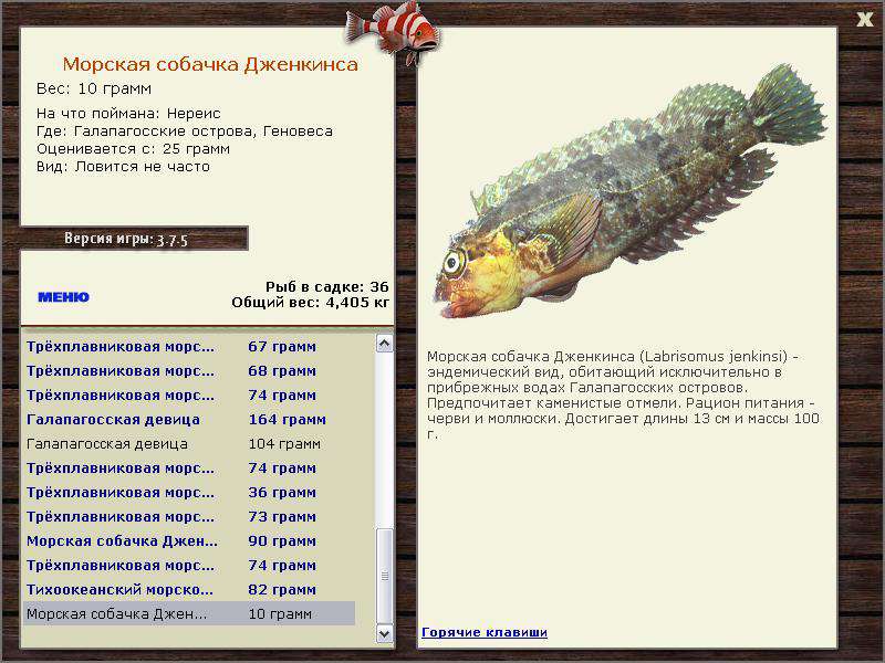РУССКАЯ РЫБАЛКА Installsoft Edition 