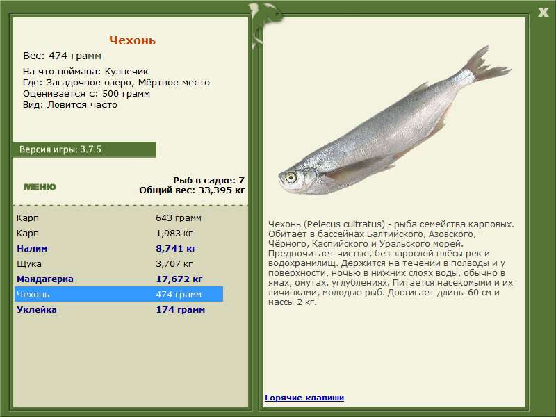 РУССКАЯ РЫБАЛКА Installsoft Edition 