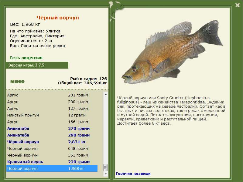 РУССКАЯ РЫБАЛКА Installsoft Edition 