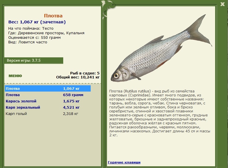 Вязовская петля 