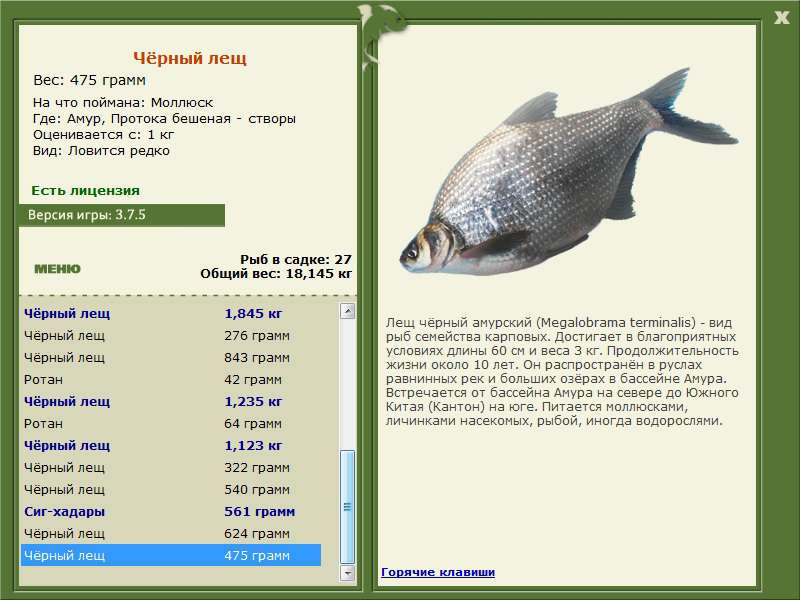  створы • Амур • РУССКАЯ РЫБАЛКА