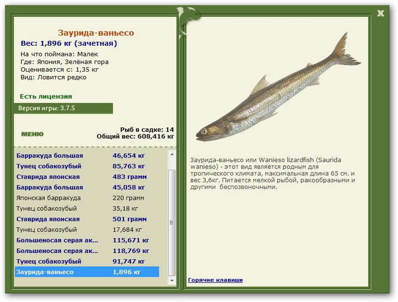 турниры • РУССКАЯ РЫБАЛКА