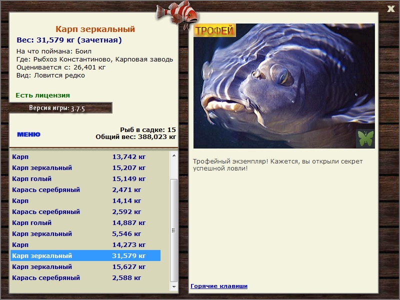 Карповая заводь 