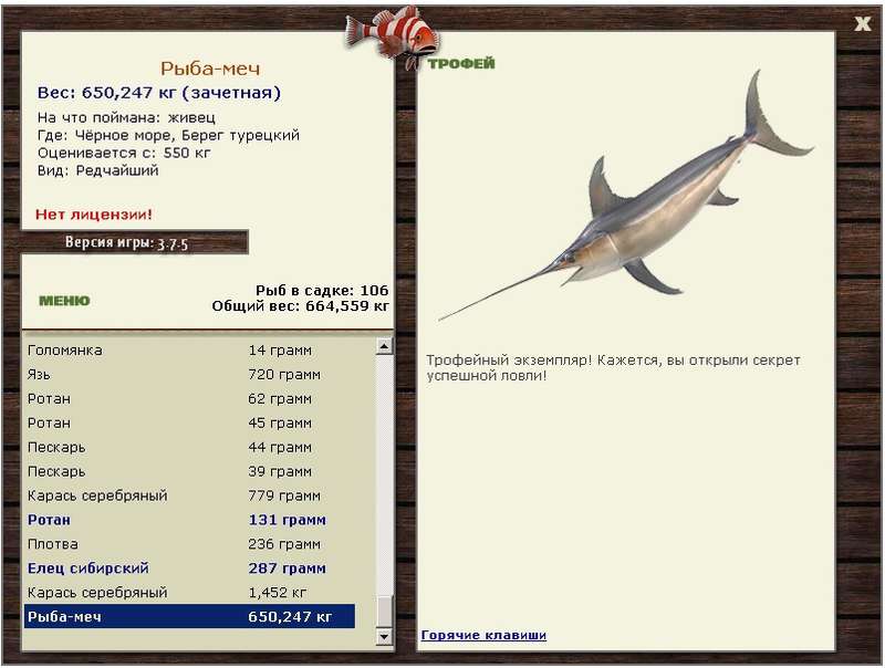 Берег турецкий 
