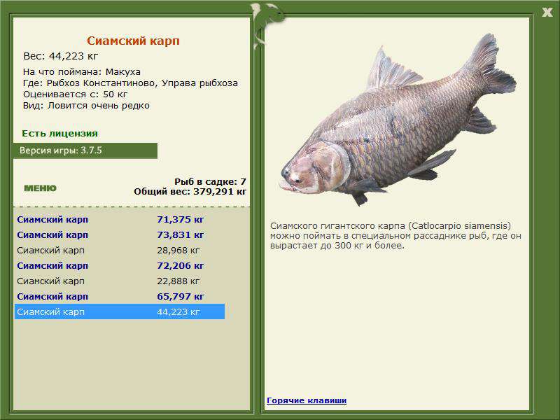 РУССКАЯ РЫБАЛКА Installsoft Edition 